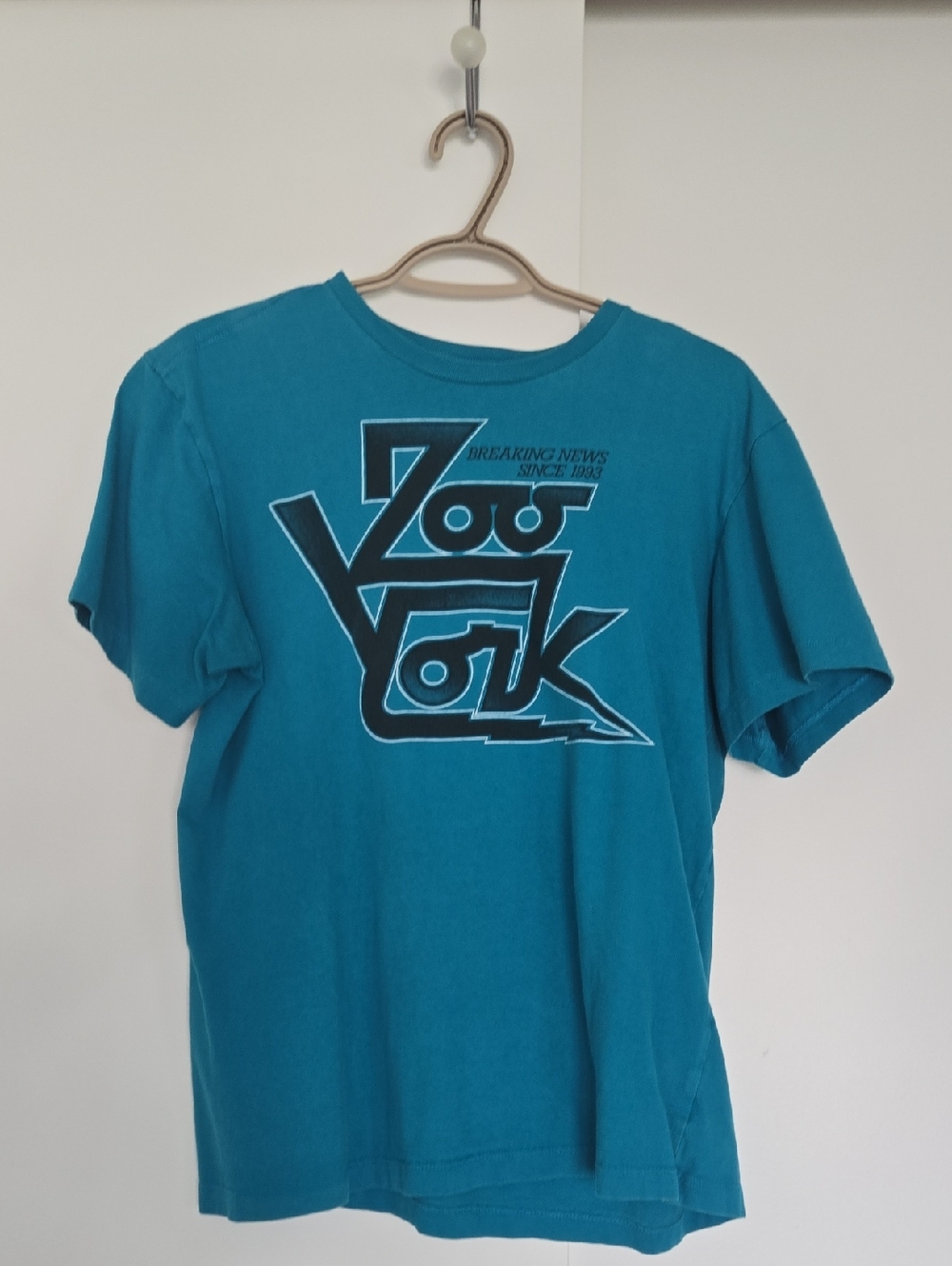Zoo York Teal Graphic Logo Tee